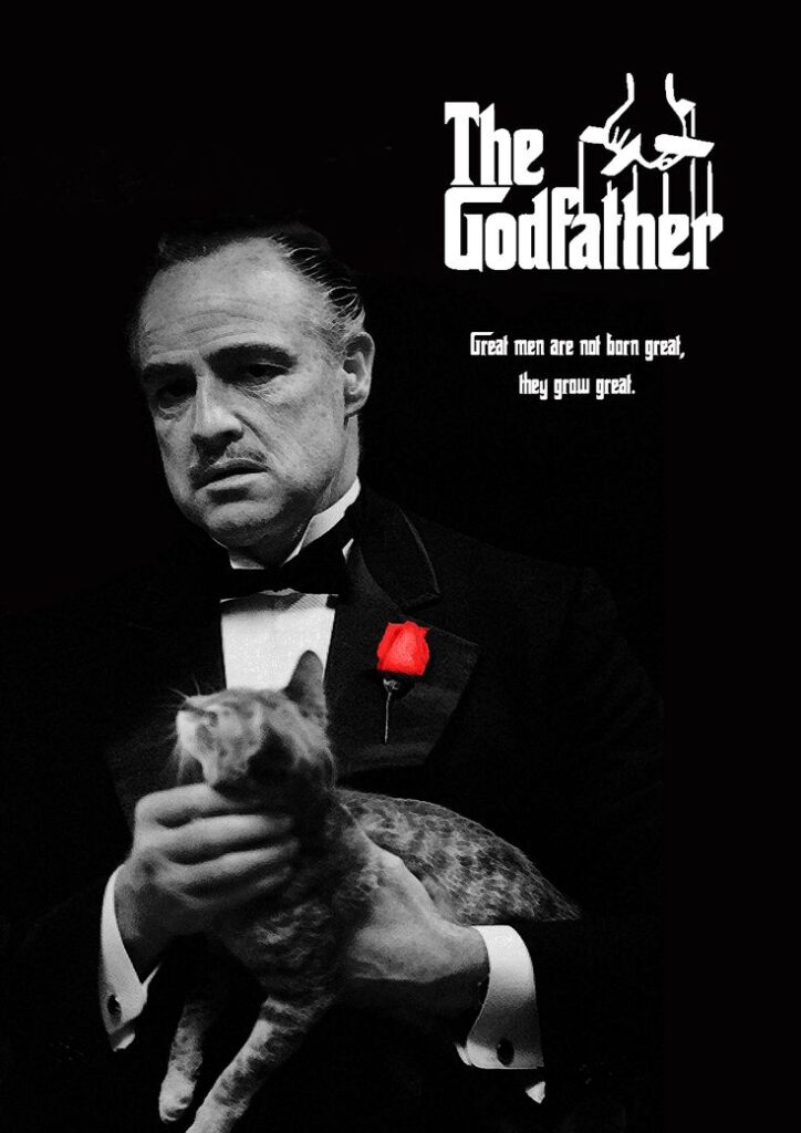 Vito Corleone A.K.A Godfather with his cat